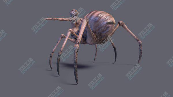 images/goods_img/20210312/3D Spider RIGGED/4.jpg